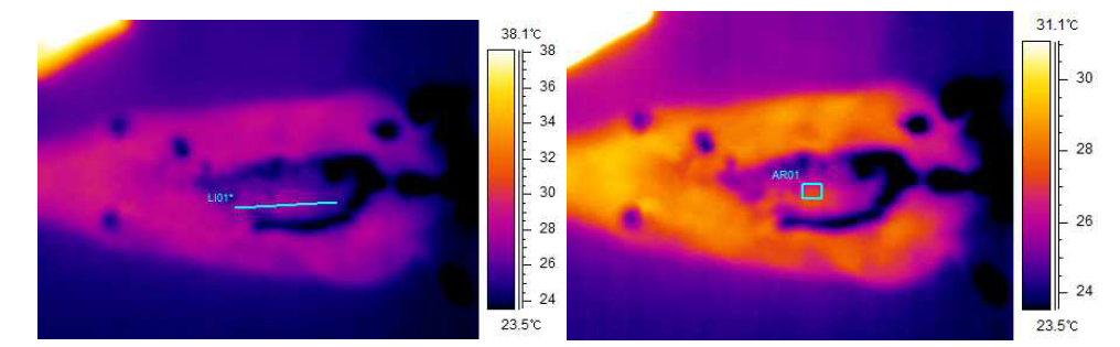 좌)심전도센서를 삽입한 실험용 쥐의 열분포도 (우)스케일을 조정한 열분포도