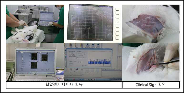 7주 후 센서데이터 획득 및 안정성 평가