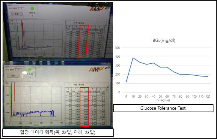 2차 실험 혈당 측정을 통한 센서 유효성 평가