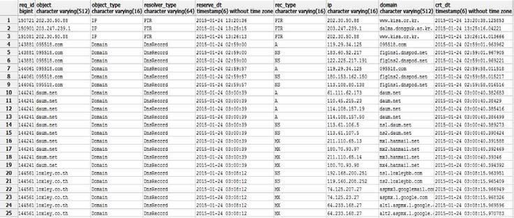 DNS 레코드 데이터 파싱 및 저장 화면