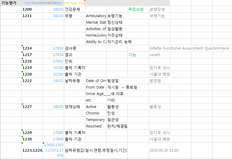 ASTM CCR Body의 FunctionalStatus(기능평가) 구조