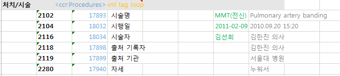 ASTM CCR Body의 Procedures(처치/시술) 구조