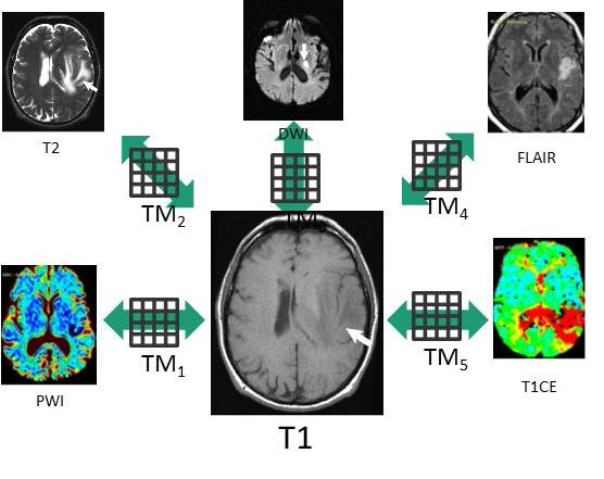 Multimodal MR image의 영상 처리 모듈