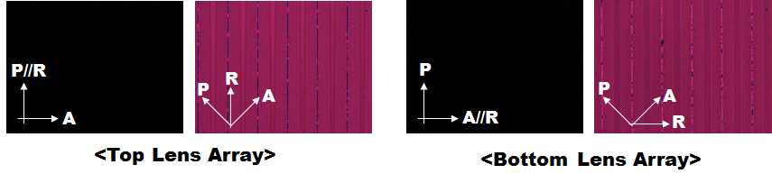 제작된 능동형 듀얼 렌티큘라렌즈의 전기적 스위칭에 따른 직교편광자 상에서 관측된 현미경 이미지