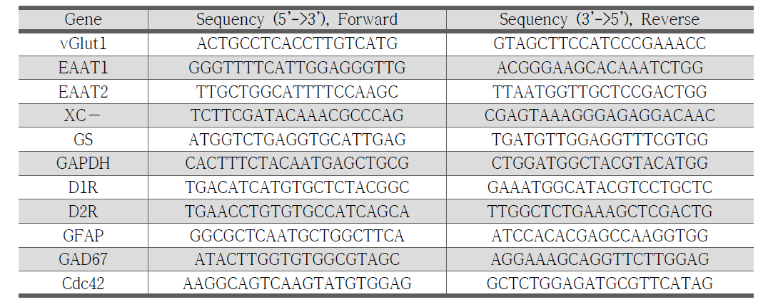 PCR용 유전자 특이적 primer