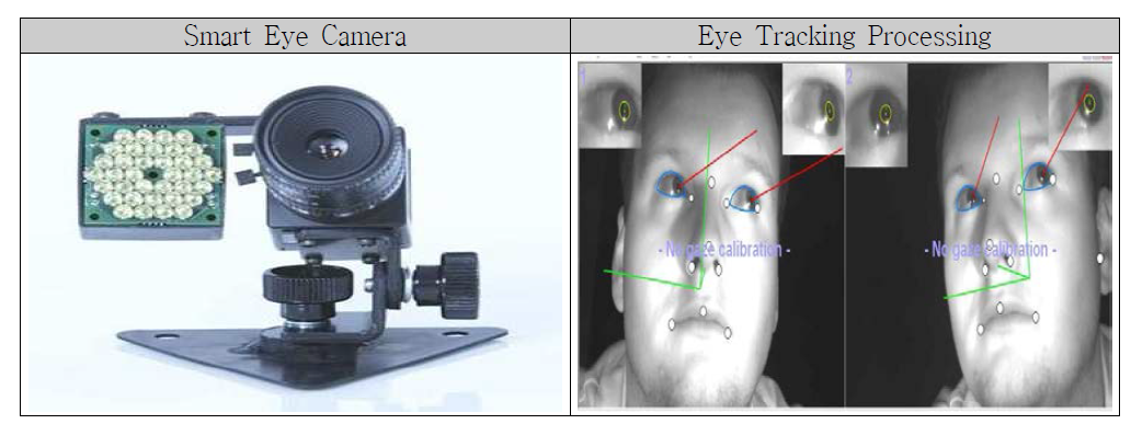 Smart Eye Camera의 주시점 추적