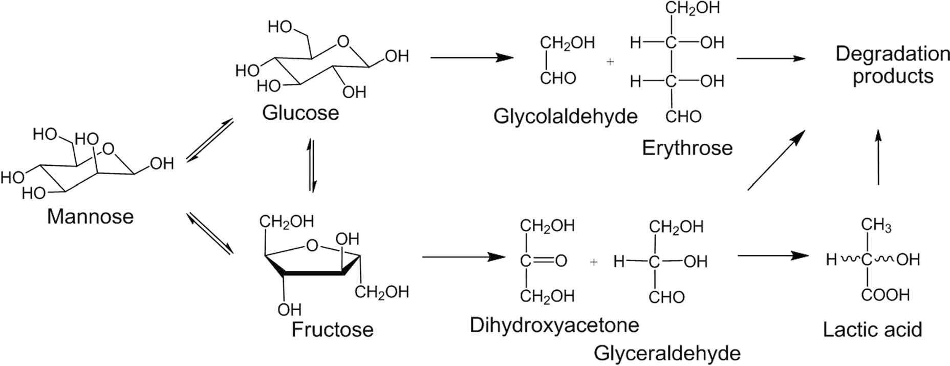 glucose isomerization 반응 경로