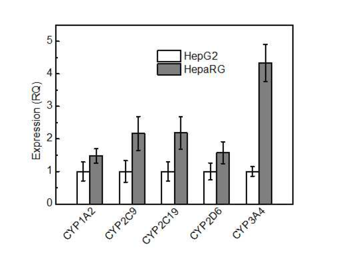 HepG2와 HepaRG에서의 phase I enzyme 발현