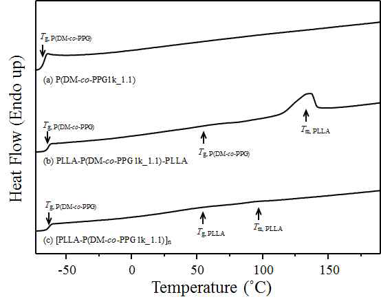 폴리에스테르, 삼블록 폴리에스테르, 다중블록 폴리우레탄의 DSC thermogram.