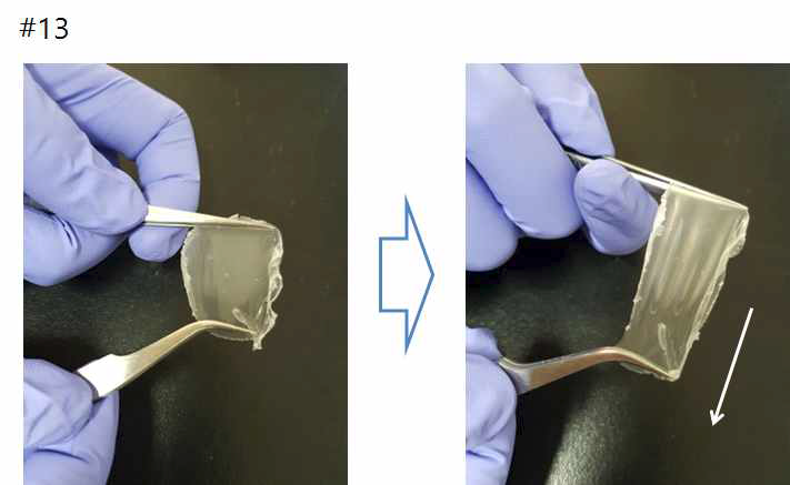 샘플 13의 필름화 및 스트레칭 테스트.