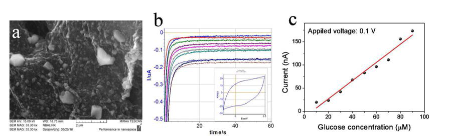 (a) SEM image of rGO with prussian nano-particle acting as mediator. (b), (c) Real-time current of various glucose concentration.