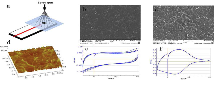 (a) the method of spray coating. (b) SEM image MWCNT on SiO2/Si. (c) SEM image of MWCNT with prussian blue particle. (d) Afm image of MWCNT. (e) Cyclic voltammerty of MWCNT electrode in PBS buffer. (f) Cyclic voltammerty of MWCNT electrode with pruusian blue in PBS buffer.