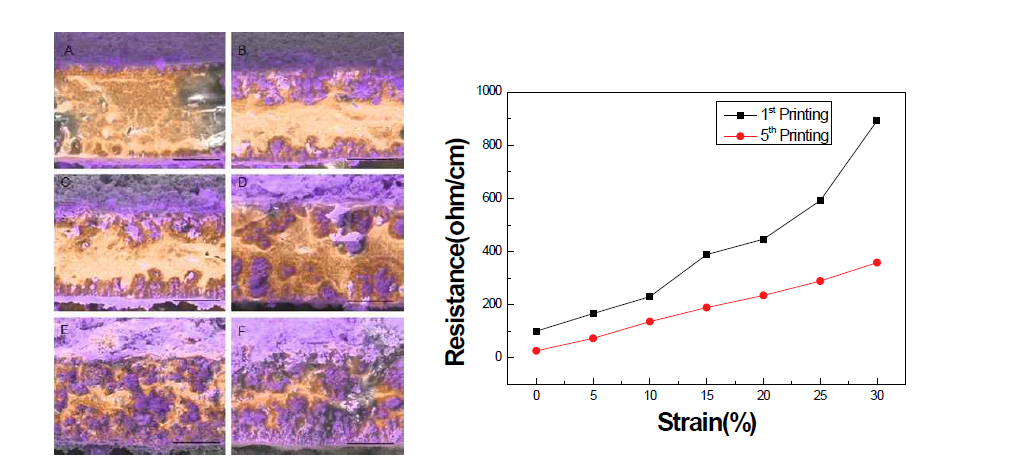 Printing 횟수에 따라 침투된 silver nanoparticle image (Cross-section EDC analysys, 좌)와 Strain에 따른 conductance 변화(우).