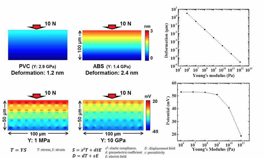 Young`s modulus에 따른 deformation 특성 및 나노복합체의 포텐셜 특성