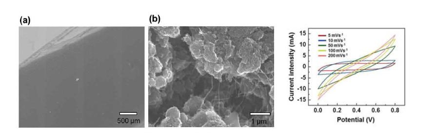 제작된 그래핀 기반 복합 필름의 FESEM 이미지 및 CV 커브