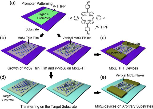 2차원 nanosheet 위에 vertically standing MoS2 flakes의 합성방법과 트랜지스터로의 응용을 보여주는 모식도