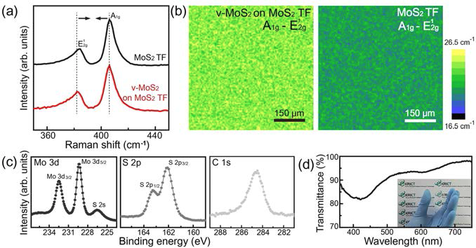 합성된 2차원 nanosheet 위의 MoS2 flakes의 특성