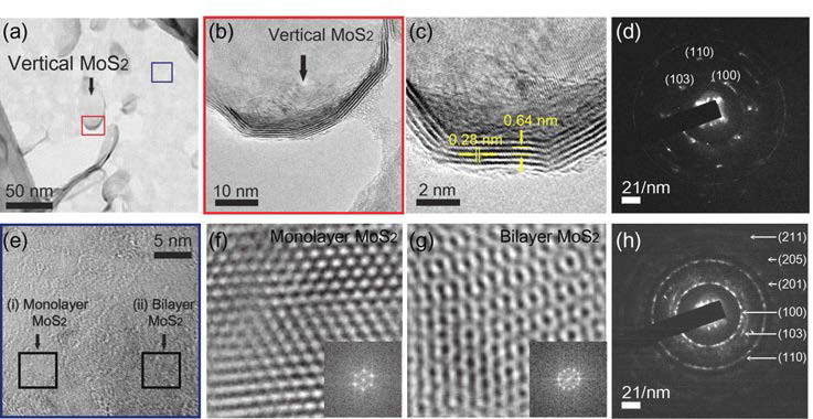 합성된 2차원 nanosheet 위에 vertically standing MoS2 flakes의 투과전자현미경 사진