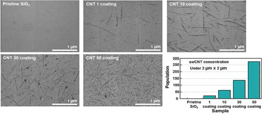 탄소나노튜브 스핀코팅 횟수에 따른 주사전자현미경 사진과 그래프