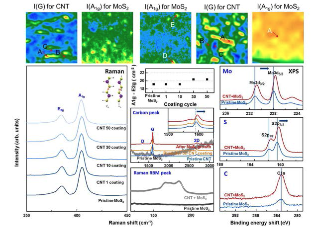 탄소나노튜브-MoS2 하이브리드 필름의 라만스펙트럼과 X선 광전자 분광법
