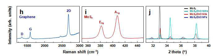 그래핀 및 MoS2 의 Raman 분석 및 ZnO 구조에 따른 XRD 분석
