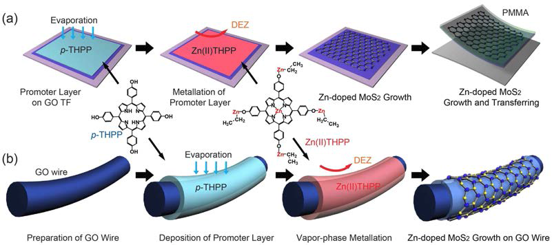 그래핀-아연 도핑된 이황화 몰리브덴 하이브리드 (a) 나노시트 및 (b) 나노 와이어의 합성방법 모식도