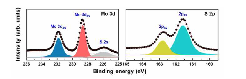 SiO2/Si기판 위에 제작된 MoS2박막의 X선 광전자 분광 스펙트럼 분석결과
