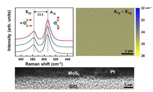 MoS2박막의 세 영역에서의 라만 스펙트럼, 라만 A1g–E2g mode mapping및 투과전자현미경 사진