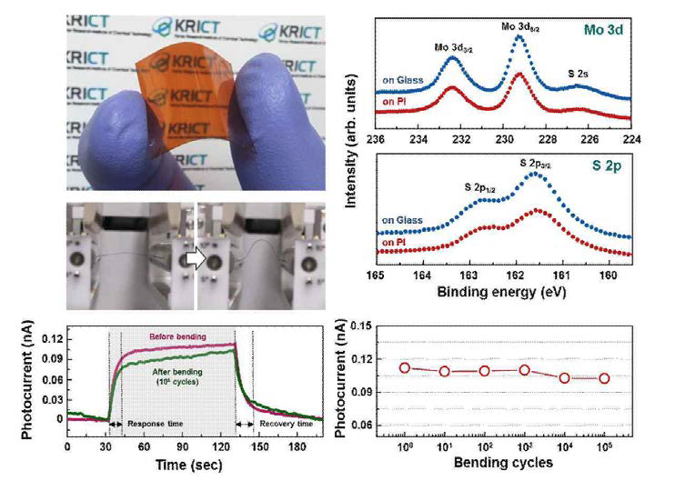 유연한 기판 위에서 직접 합성된 MoS2의 사진, X-선 광전자 분광 스펙트림과 유연성 테스트 결과