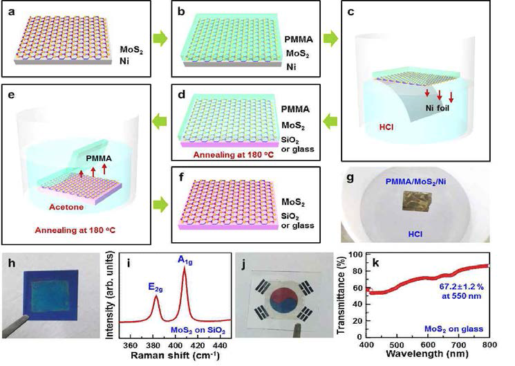 Ni 호일 위에 합성된 MoS2의 전사과정에 대한 모식도 및 광학투과도 분석결과