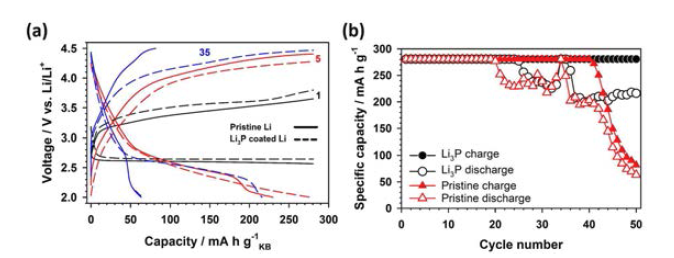 보호된 리튬 및 보호되지 않은 리튬이 사용된 리튬 공기 전지의 (a) voltage profile 및 (b) cycle performance.
