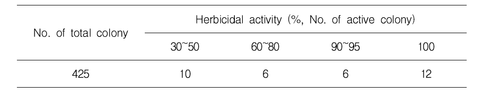 토양 분리 미생물배양액의 제초활성 평가
