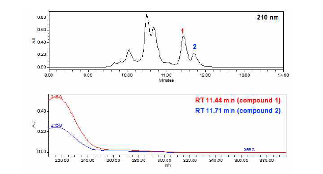 빌레나무 추출물로부터 분리한 항균활성물질의 HPLC 크로마토그램 (210㎚) 및 UV 흡광스펙트럼