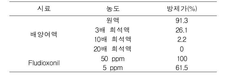 KRA15-503 배양여액의 토마토 잿빛곰팡이병 방제활성