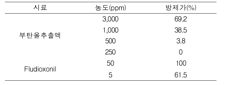 KRA15-503 n-부탄올 추출물의 토마토 잿빛곰팡이병 방제활성