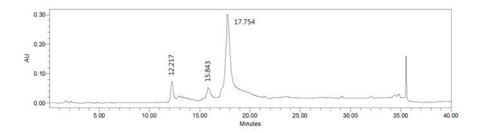 정제된 항균활성물질 P4의 HPLC 분석 크로마토그램