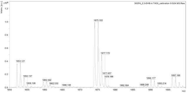 항균활성물질 P4의 MALDI-TOF MS 양이온 스펙트럼