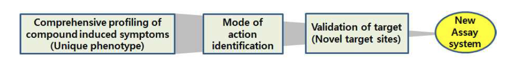 Herbicide symptomatology (Phenology) to target site