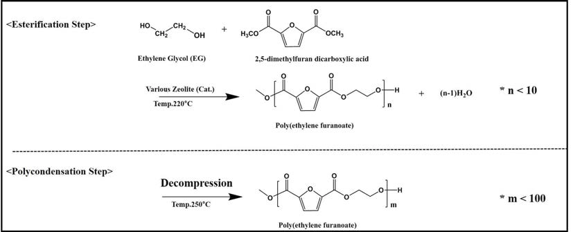 Zeolite를 활용한 PEF 중합의 화학적 Scheme