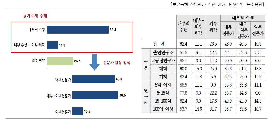 보유특허 선별평가 수행 주체