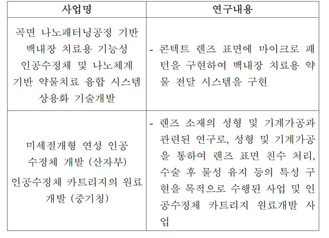 스마트 안내렌즈 분야의 기존 사업 및 내용