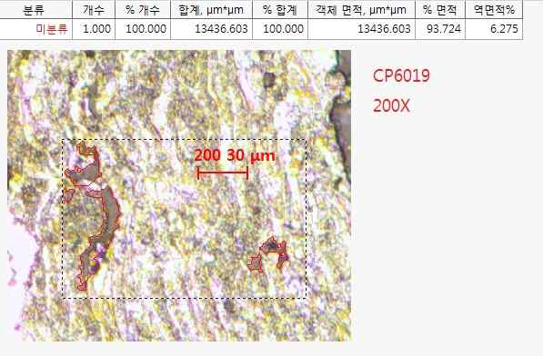 CP6019 미세조직시험 -Porosity