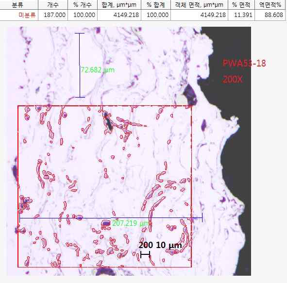 PWA53-18 시편 미세조직 - Porosity