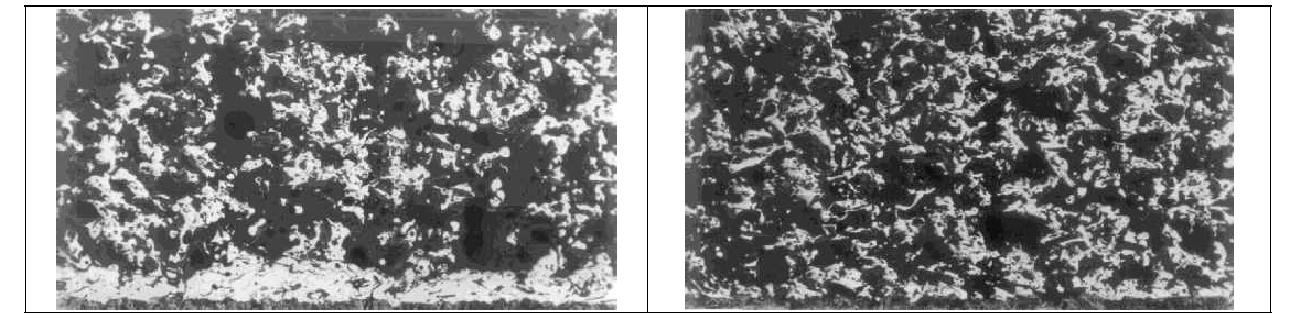 Nickel – Graphite 코팅 Porosity