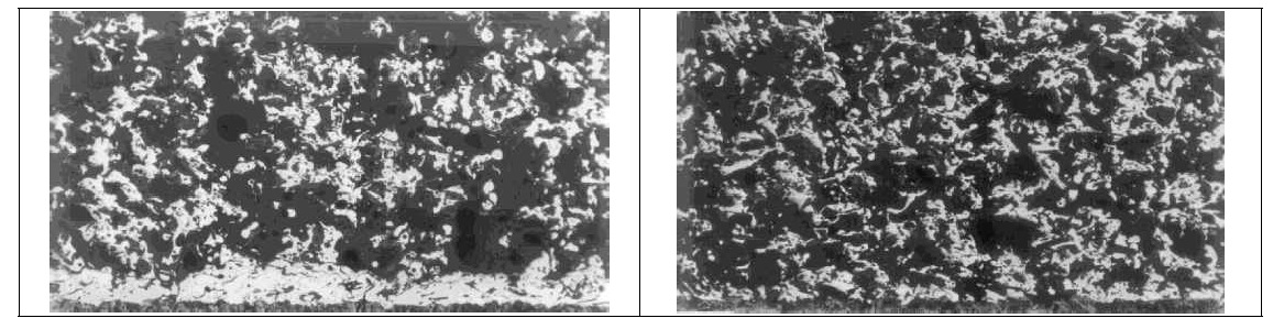 Porosity for Nickel – Graphite 코팅