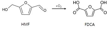 HMF의 산화 반응을 통한 FDCA 제조