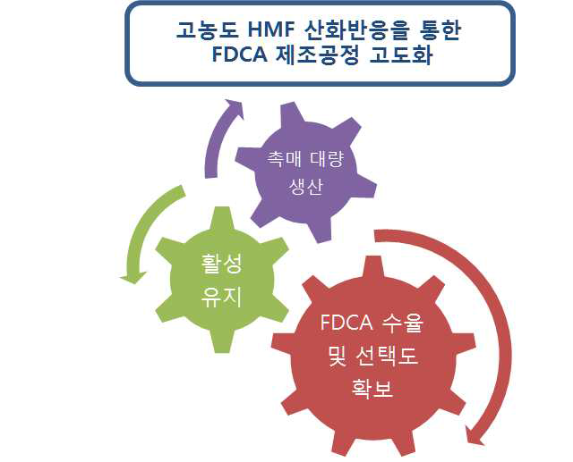 연구개발 추진체계