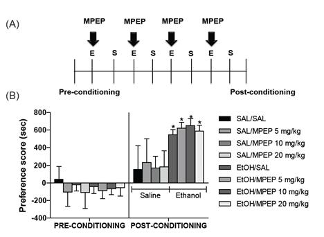 Effects of MPEP on the acquisition of ethanol-induced CPP