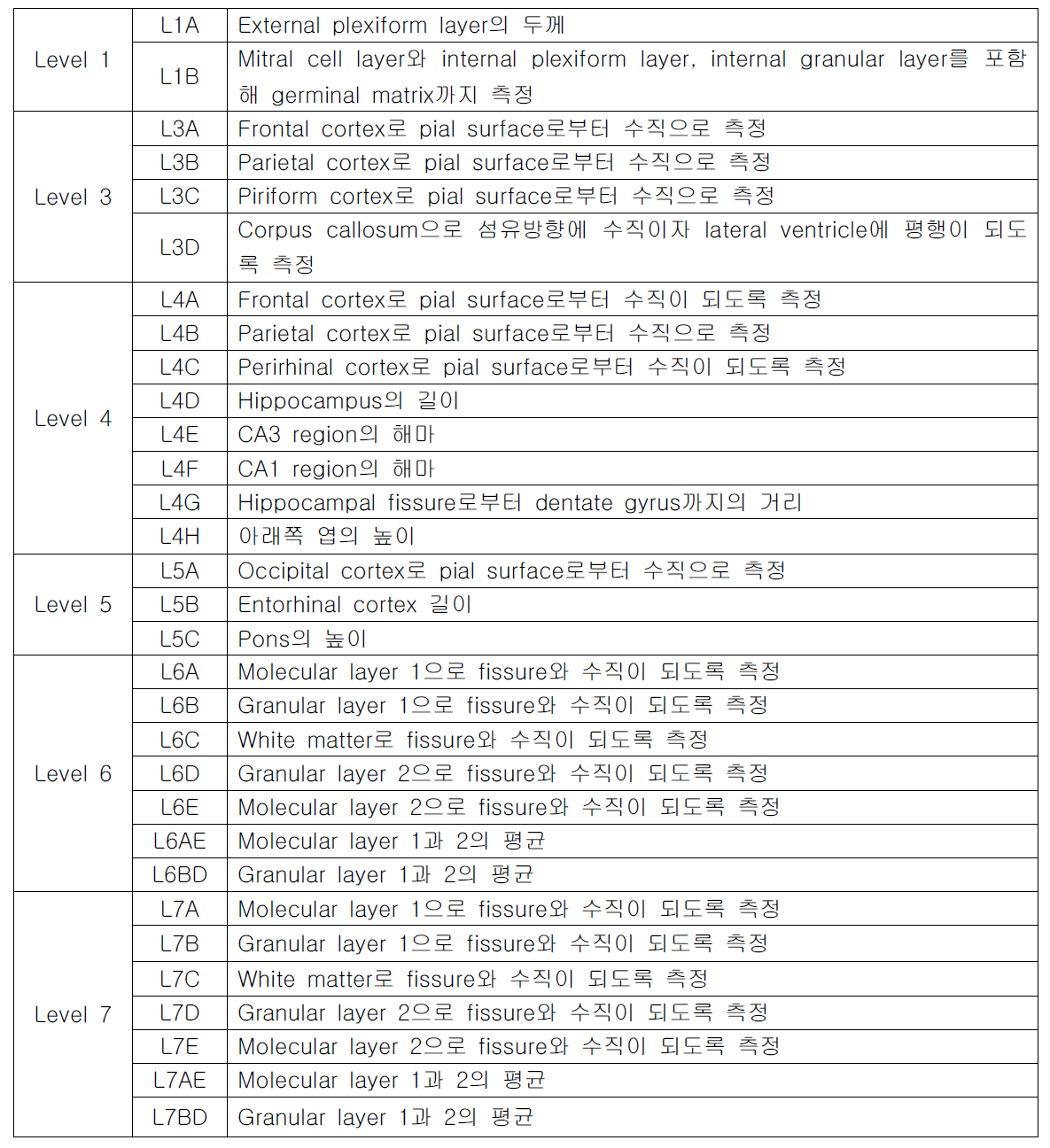 Linear morphometry의 측정부위