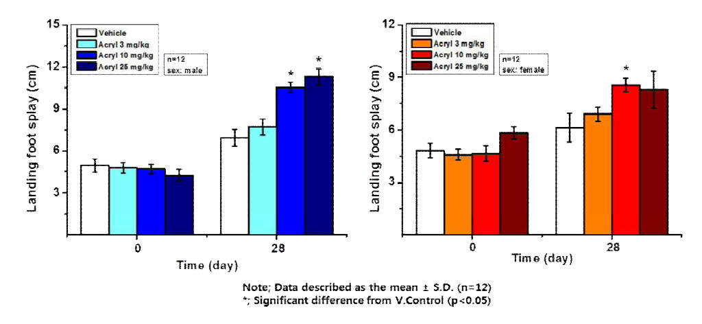 아크릴아마이드(acrylamide) 투여 후 28일째 착지보폭 변화